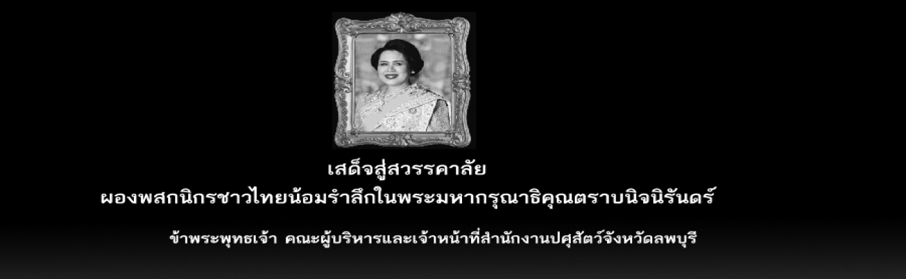 ประชาสัมพันธ์ถวายความอาลัย