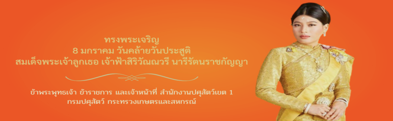 วันคล้ายวันประสูติ สมเด็จพระเจ้าลูกเธอ เจ้าฟ้าสิริวัณณวรี นารีรัตนราชกัญญา