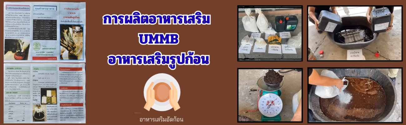 จังหวัดนนทบุรี-การผลิตอาหารเสริม UMMB อาหารเสริมรูปก้อน