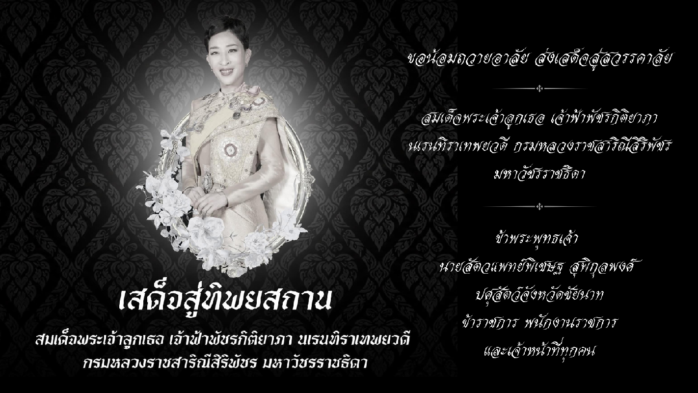 cnt pupup 11 jun
