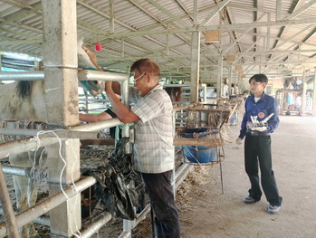 1 06