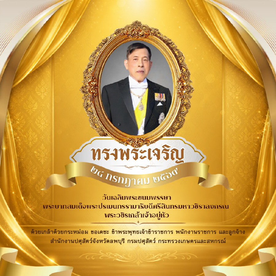 11 jun lbr02