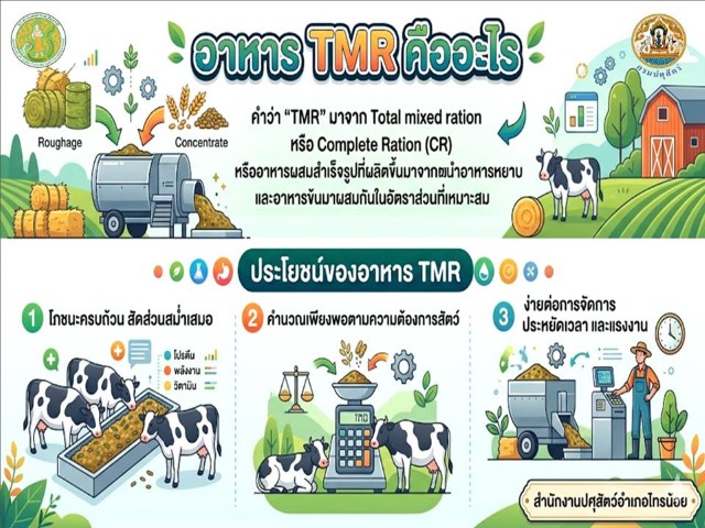 690902