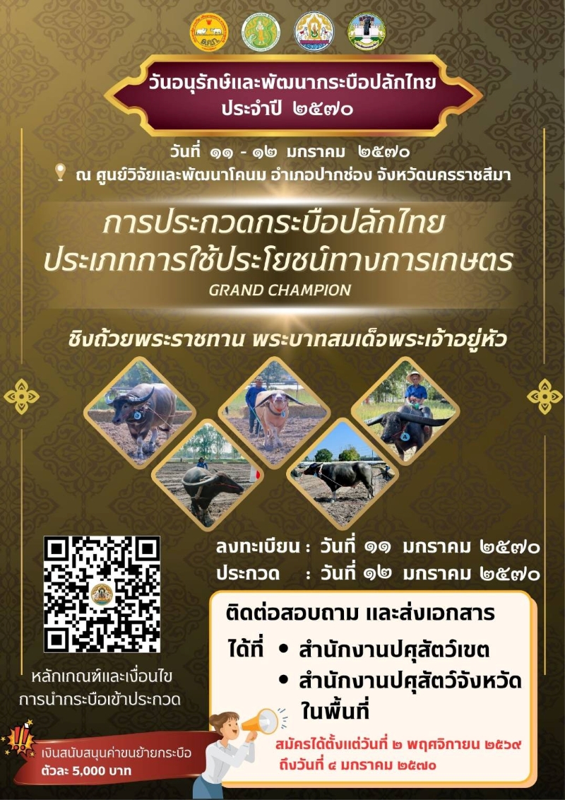 photo thai swamp buffalo