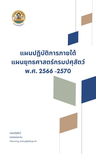 plan strategy dld photo 2023 2027