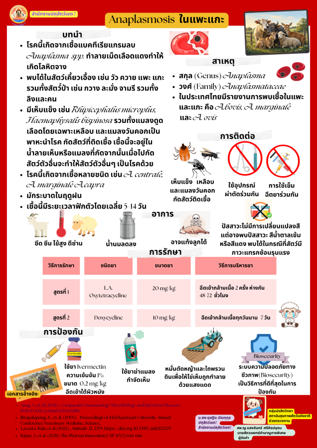 Anaplasma Infographic 240869