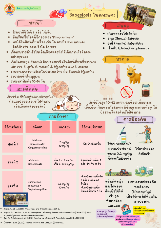 Babesia Infographic 240869