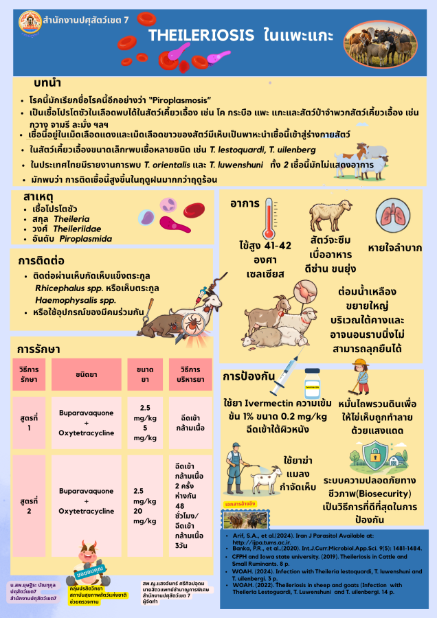 Theileria Infographic 240869