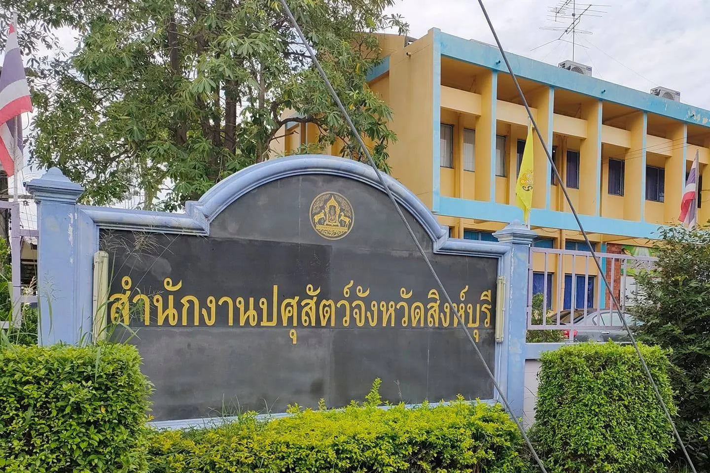 ปศุสัตววว