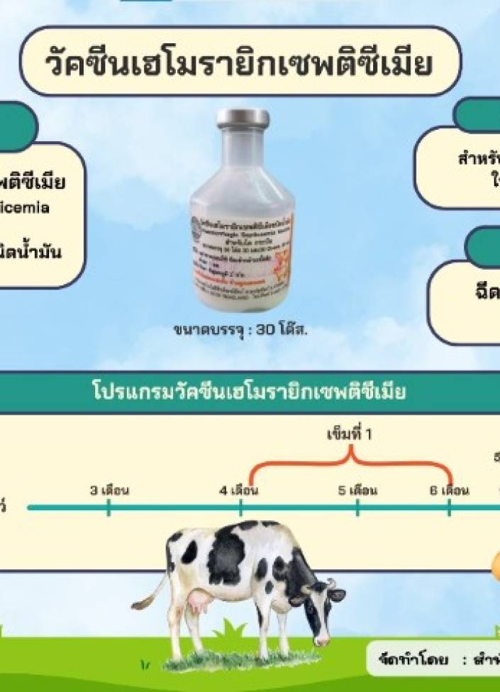 จังหวัดนนทบุรี-6903-วัคซีนป้องกันโรคเฮโมฯ