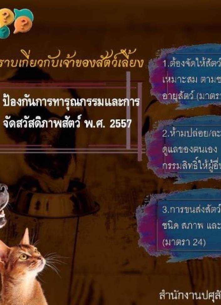 จังหวัดนนทบุรี-6903-กฎหมายที่ควรทราบเกี่ยวเจ้าของสัตว์เลี้ยงกฎหมายที่ควรทราบเกี่ยวเจ้าของสัตว์เลี้ยง