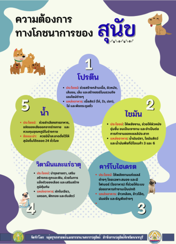 จังหวัดนนทบุรี-6903-ความต้องการทางโภชนาการของสุนัข