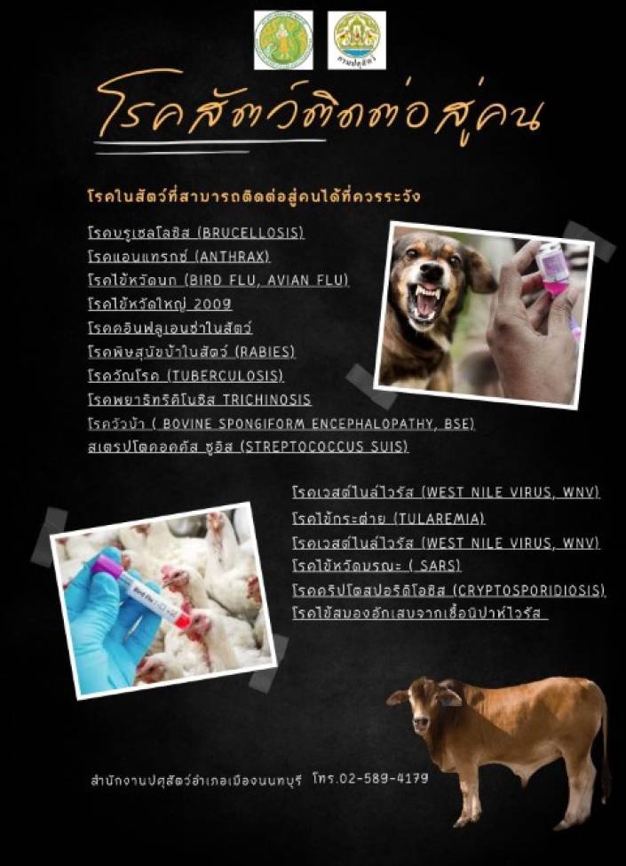 จังหวัดนนทบุรี-6904-โรคสัตว์ติดต่อสู่คน