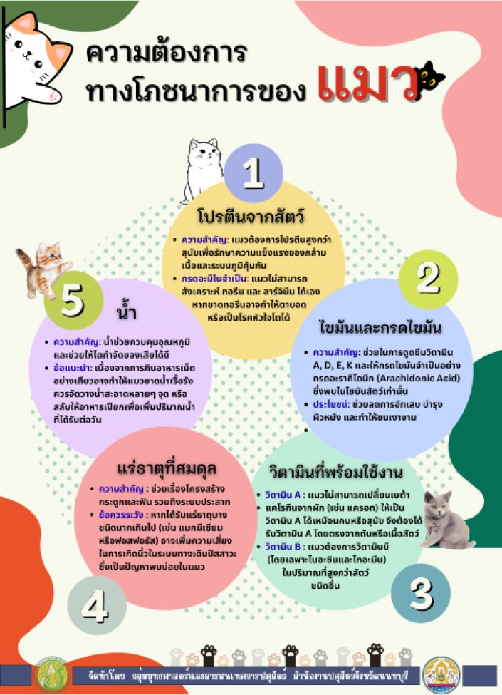 จังหวัดนนทบุรี-6904-ความต้องการทางโภชนาการของแมว