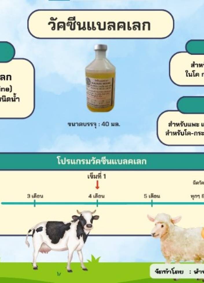 จังหวัดนนทบุรี-6905-วัคซีนป้องกันโรคแบลคเลก