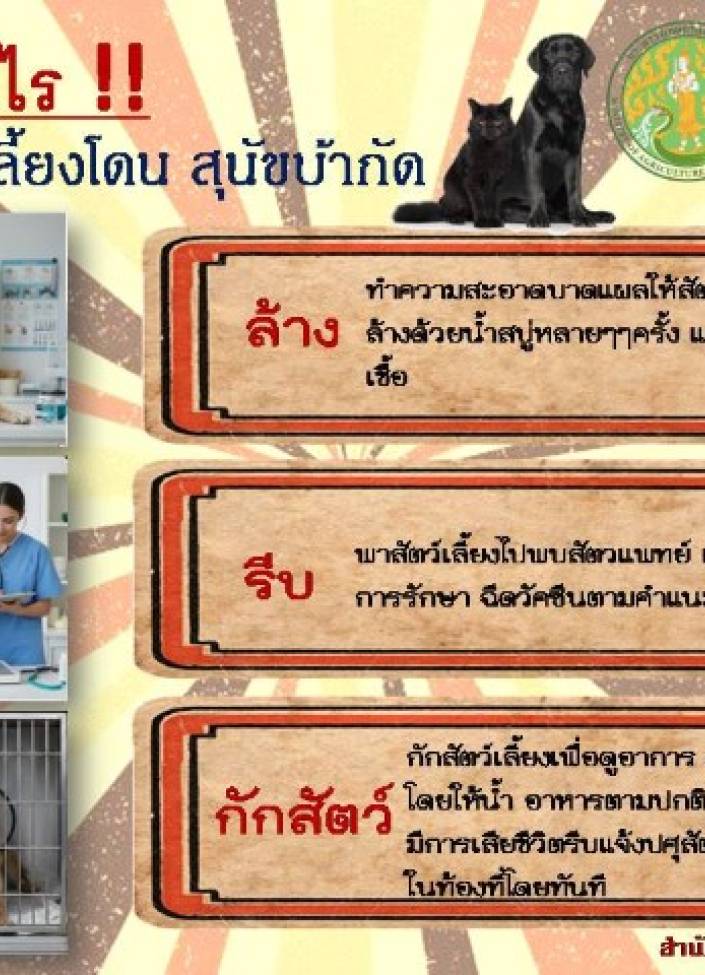 จังหวัดนนทบุรี-6905-ทำอย่างไรเมื่อสัตว์เลี้ยงโดน 