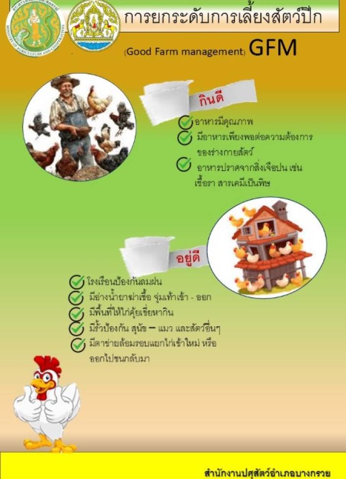 จังหวัดนนทบุรี-6905-การยกระดับการเลี้ยงสัตว์ปีก (GFM)