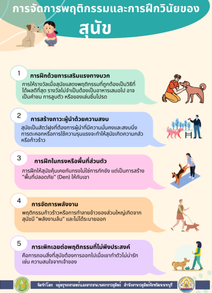 จังหวัดนนทบุรี-6905-การจัดการพฤติกรรมและการฝึกวินัยของสุนัข