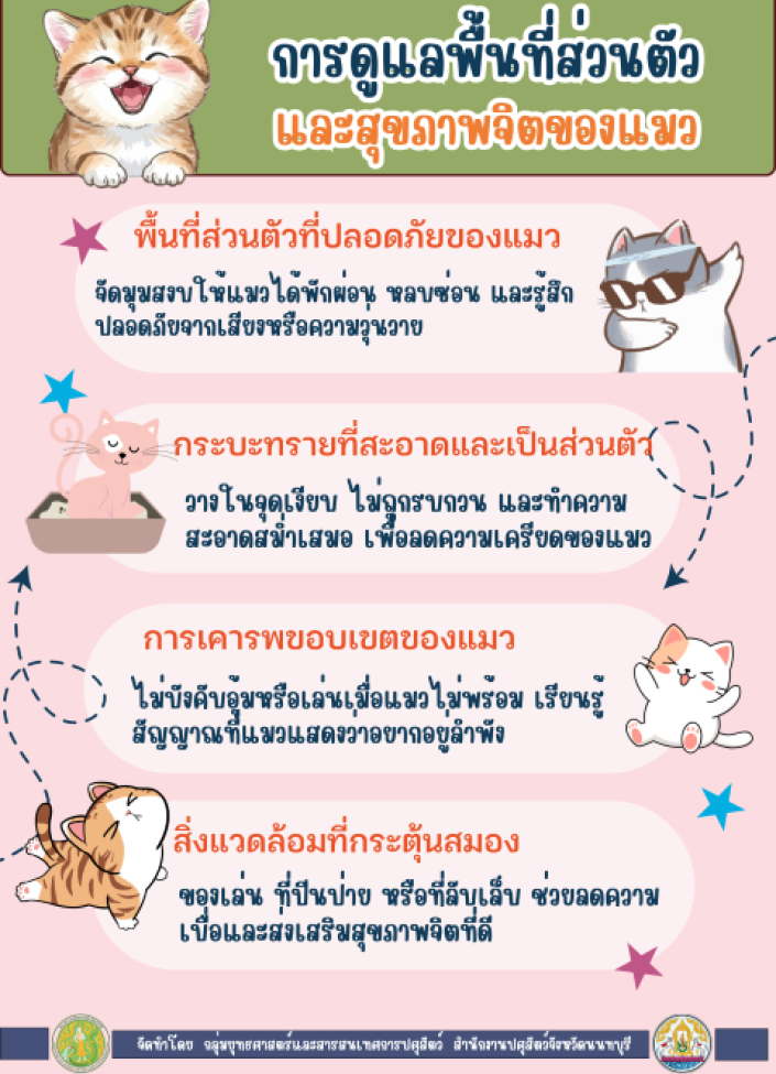 จังหวัดนนทบุรี-การดูแลพื้นที่ส่วนตัวและสุขภาพจิตของแมว