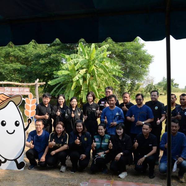 สำนักงานปศุสัตว์จังหวัดอ่างทอง สำนักงานปศุสัตว์อำเภอแสวงหา เข้าร่วมกิจกรรมเก็บเกี่ยวข้าวและติดตามผลการดำเนินงาน โครงการ