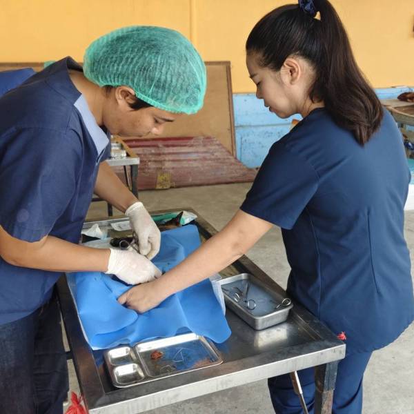 สำนักงานปศุสัตว์จังหวัดอ่างทอง กลุ่มพัฒนาสุขภาพสัตว์ สำนักงานปศุสัตว์อำเภอ อำเภอโพธิ์ทอง ออกหน่วยสัตวแพทย์เคลื่อนที่