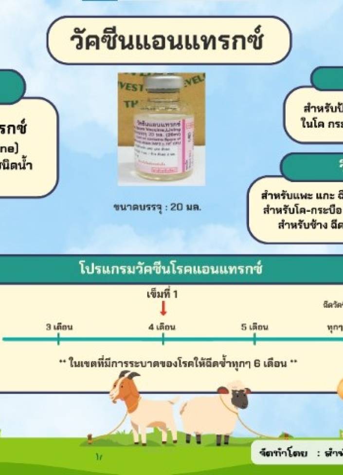 จังหวัดนนทบุรี-วัคซีนป้องกันโรคแอนแทรกซ์