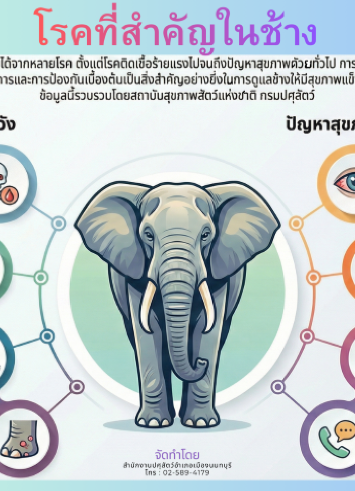 จังหวัดนนทบุรี--6908-โรคที่สำคัญในช้าง