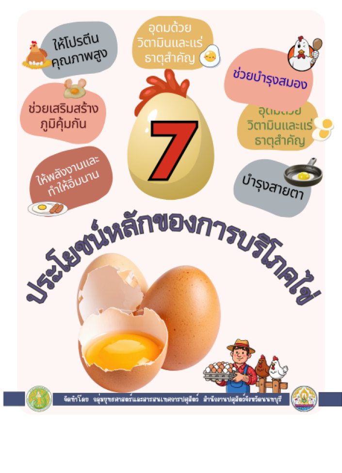 จังหวัดนนทบุรี-6908-7 ประโยชน์หลักของการบริโภคไข่