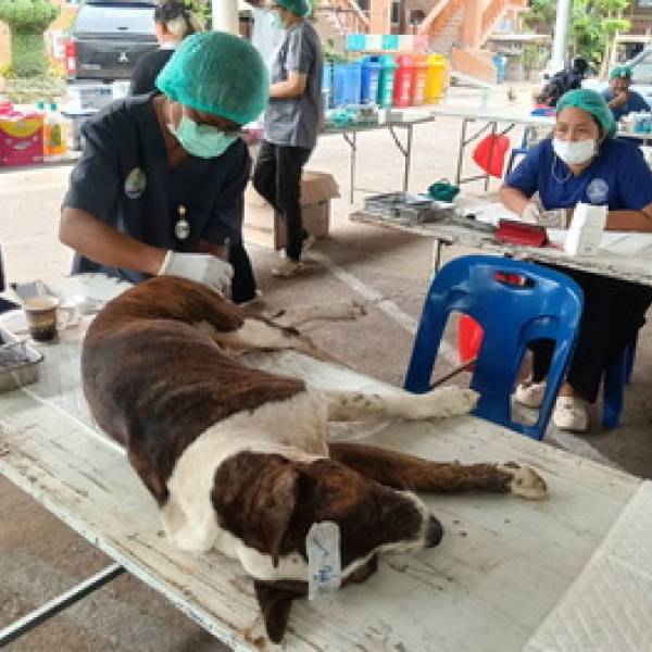 ปศุสัตว์จังหวัดชัยนาท ร่วมบูรณาการจัดทำโครงการควบคุมจำนวนสุนัข–แมว