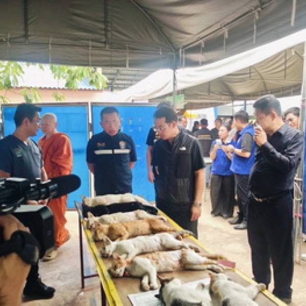 ปศุสัตว์จังหวัดชัยนาท ร่วมให้บริการโครงการบำบัดทุกข์ บำรุงสุข สร้างรอยยิ้มให้ประชาชน ประจำปีงบประมาณ พ.ศ. 2569