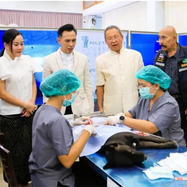 สำนักงานปศุสัตว์จังหวัดลพบุรีจัดโครงการปศุสัตว์ร่วมใจกำจัดภัยโรคพิษสุนัขบ้า เพื่อเฉลิมพระเกียรติศาสตราจารย์ ดร.สมเด็จเจ้าฟ้าฯ กรมพระศรีสวางควัฒน วรขัตติยราชนารี ภายใต้โครงการสัตว์ปลอดโรค คนปลอดภัย จากโรคพิษสุนัขบ้า ตามพระปณิธานฯ