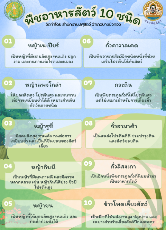 6910-พืชอาหารสัตว์ 10 ชนิด