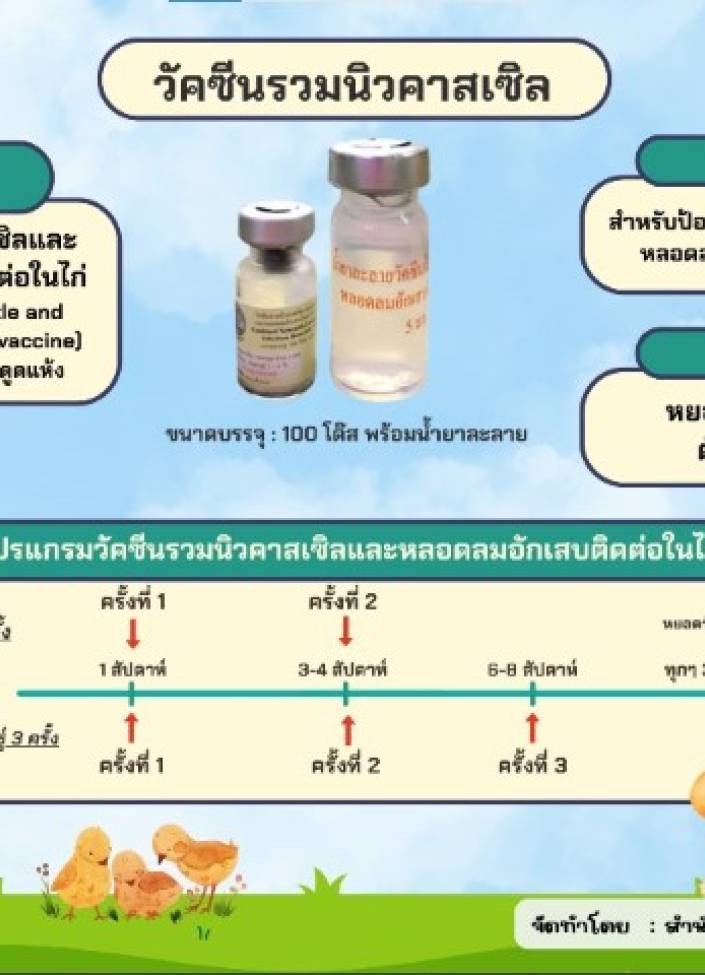 จังหวัดนนทบุรี-6911-วัคซีนรวมนิวคาสเซิลฯ