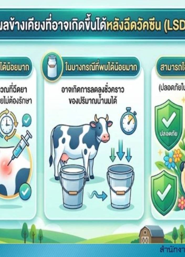 จังหวัดนนทบุรี-6911-ผลข้างเคียงที่อาจเกิดขึ้นได้หลังการฉีดวัคซีน (LSD)