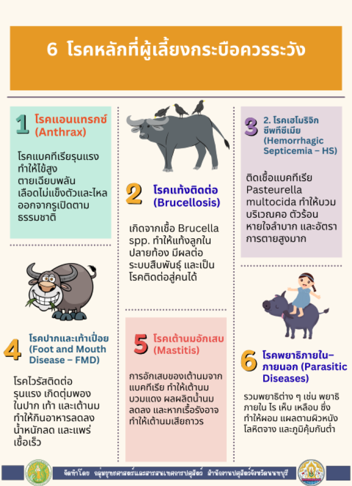 จังหวัดนนทบุรี-6911-6 โรคหลักที่ผู้เลี้ยงกระบือควรระวัง
