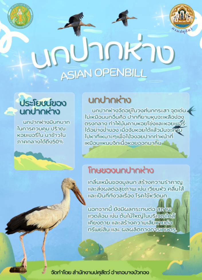 จังหวัดนนทบุรี-นกปากห่าง
