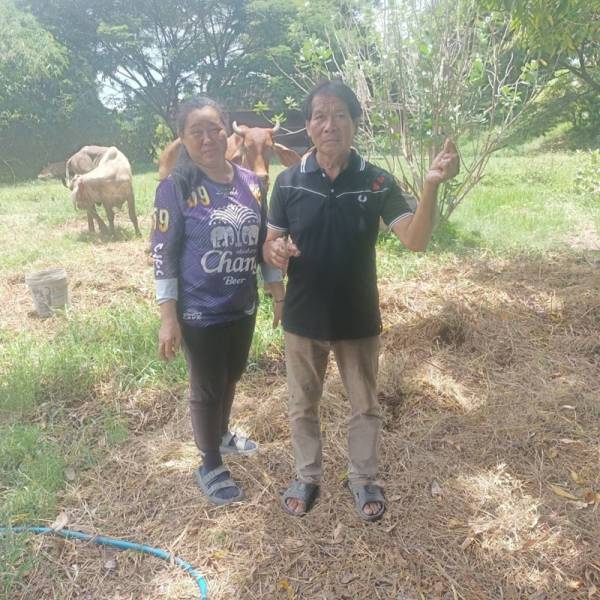 ดูแลสุขภาพสัตว์ ฉีดวัคซีนป้องกันโรค พร้อมทั้งให้ลงทะเบียนเกษตรกรผู้เลี้ยงสัตว์รายใหม่