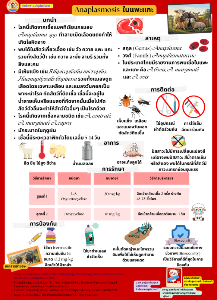 Anaplasmosis ในแพะแกะ