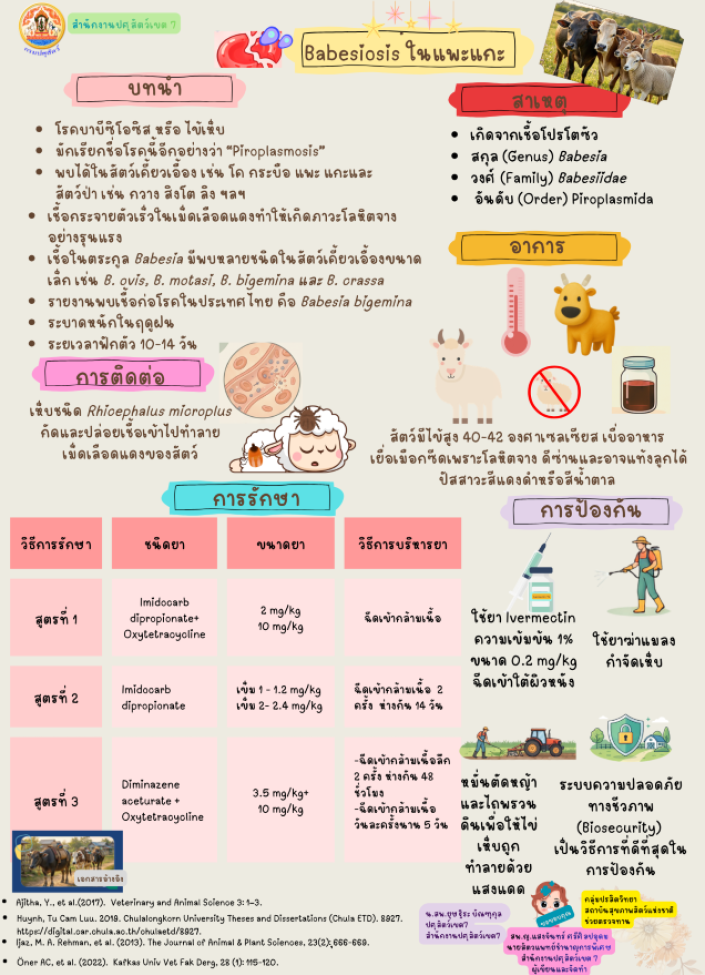 Babesiosis ในแพะแกะ