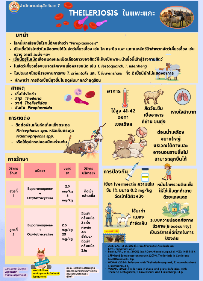 Theileriosis ในแพะแกะ