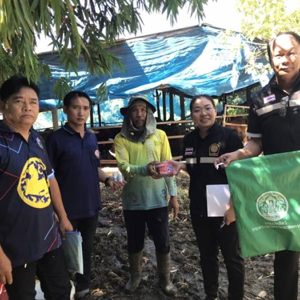ติดตามสถานการณ์ภัยพิบัติด้านปศุสัตว์(อุทกภัย)และตรวจเยี่ยมให้แนะนำการเลี้ยงสัตว์