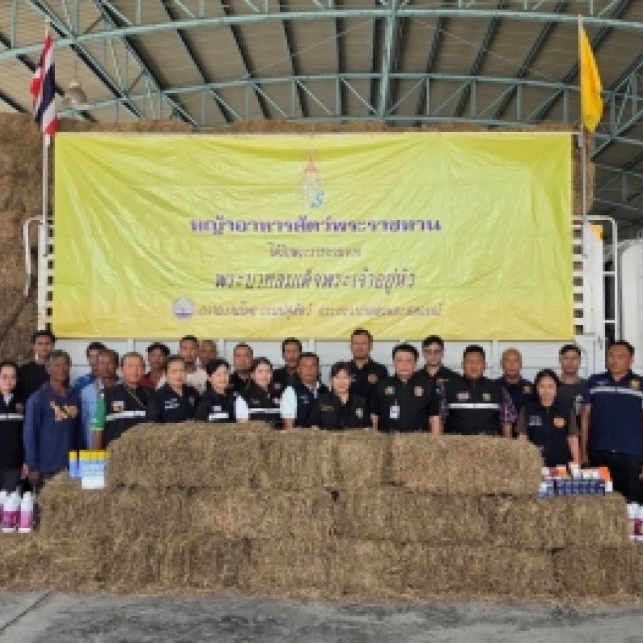 ครอบครัวปศุสัตว์เขต 1 ลงพื้นที่มอบหญ้าอาหารสัตว์พระราชทาน และเวชภัณฑ์บรรเทาความเดือดร้อนจากเหตุอุทกภัย