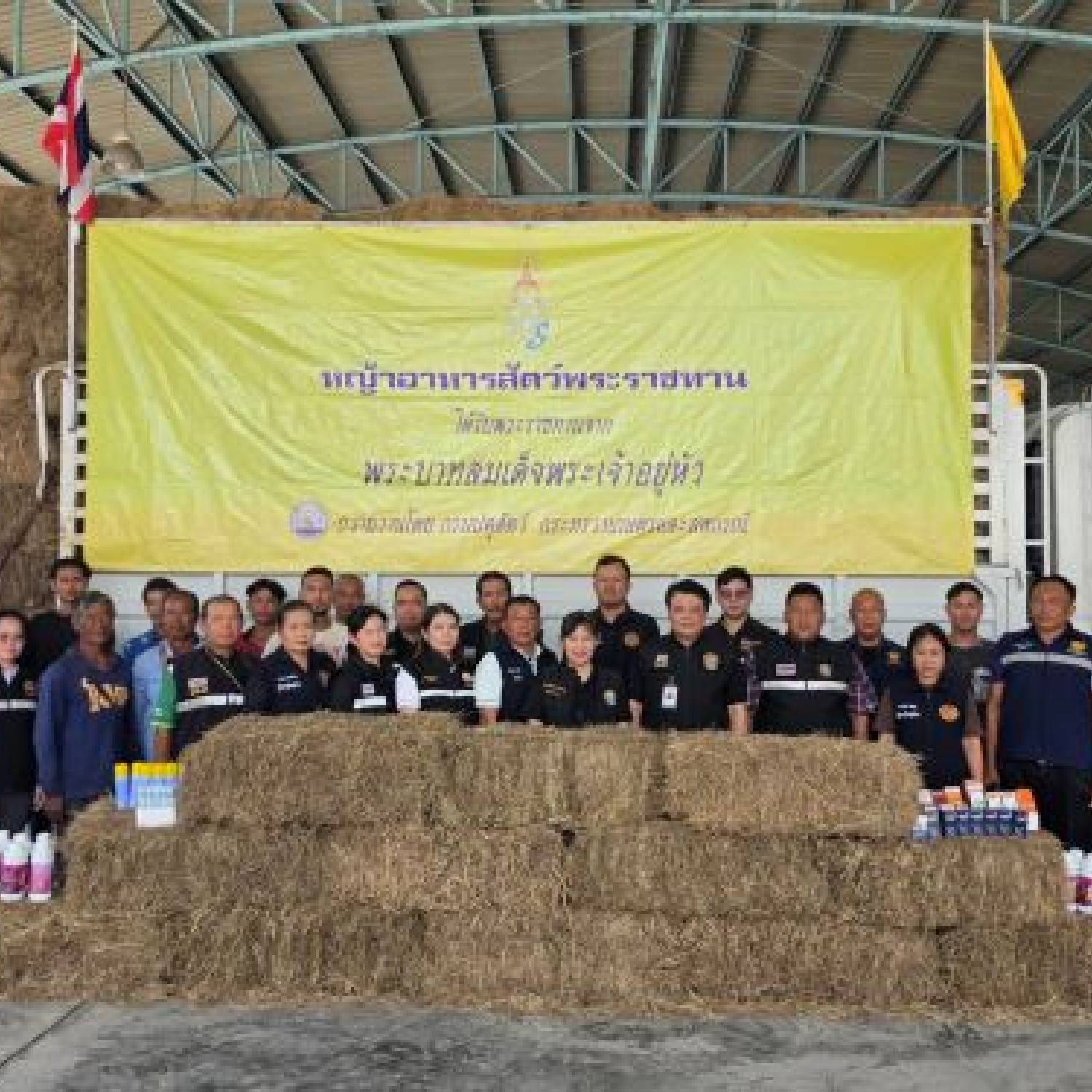 สำนักงานปศุสัตว์จังหวัดปทุมธานี ส่งมอบหญ้าอาหารสัตว์พระราชทาน และเวชภัณฑ์ช่วยเหลือเกษตรกรในพื้นที่อุทกภัย
