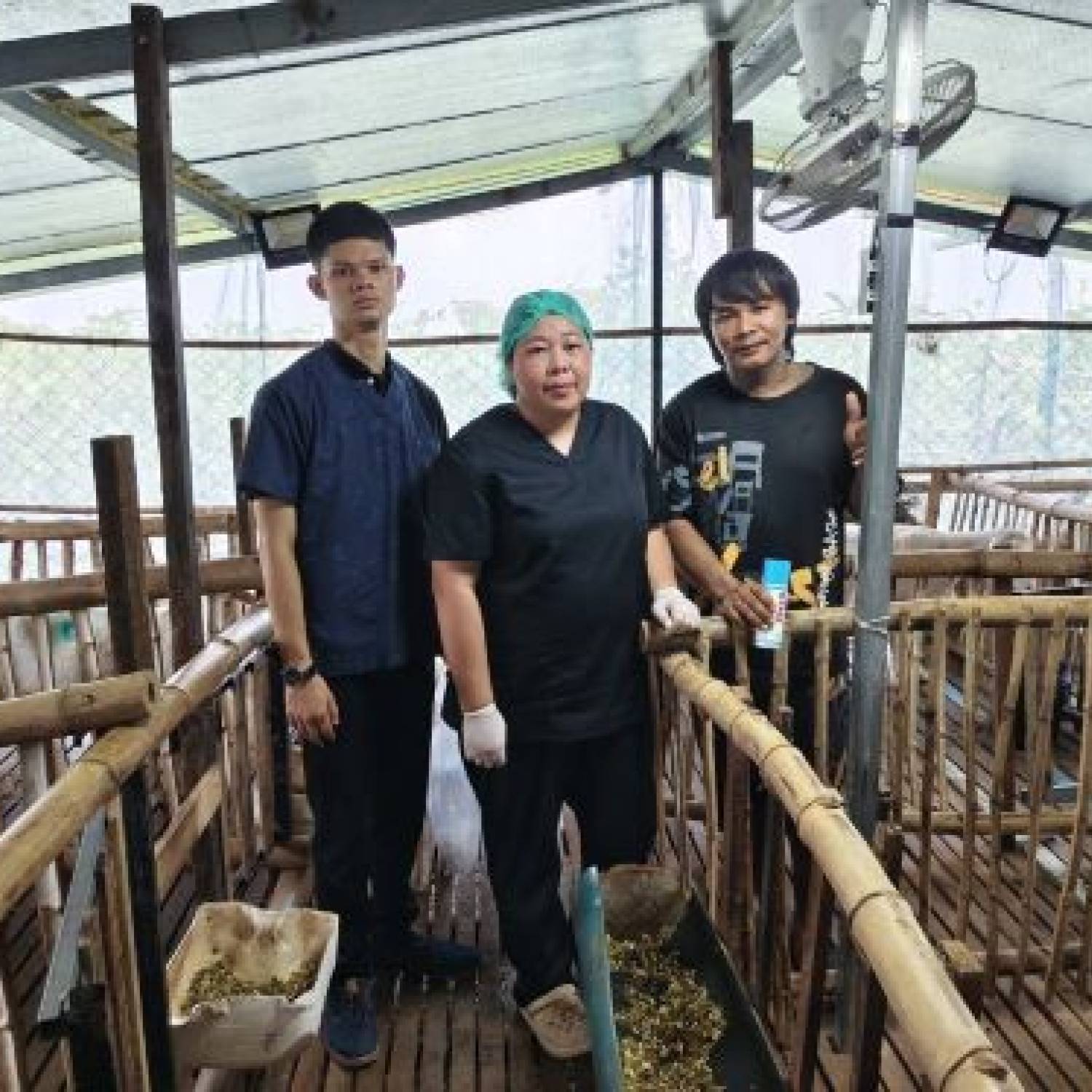 สำนักงานปศุสัตว์จังหวัดปทุมธานี ลงพื้นที่เจาะเลือดเก็บตัวอย่าง ตรวจโรคบรูเซลโลสิส(Brucellosis)