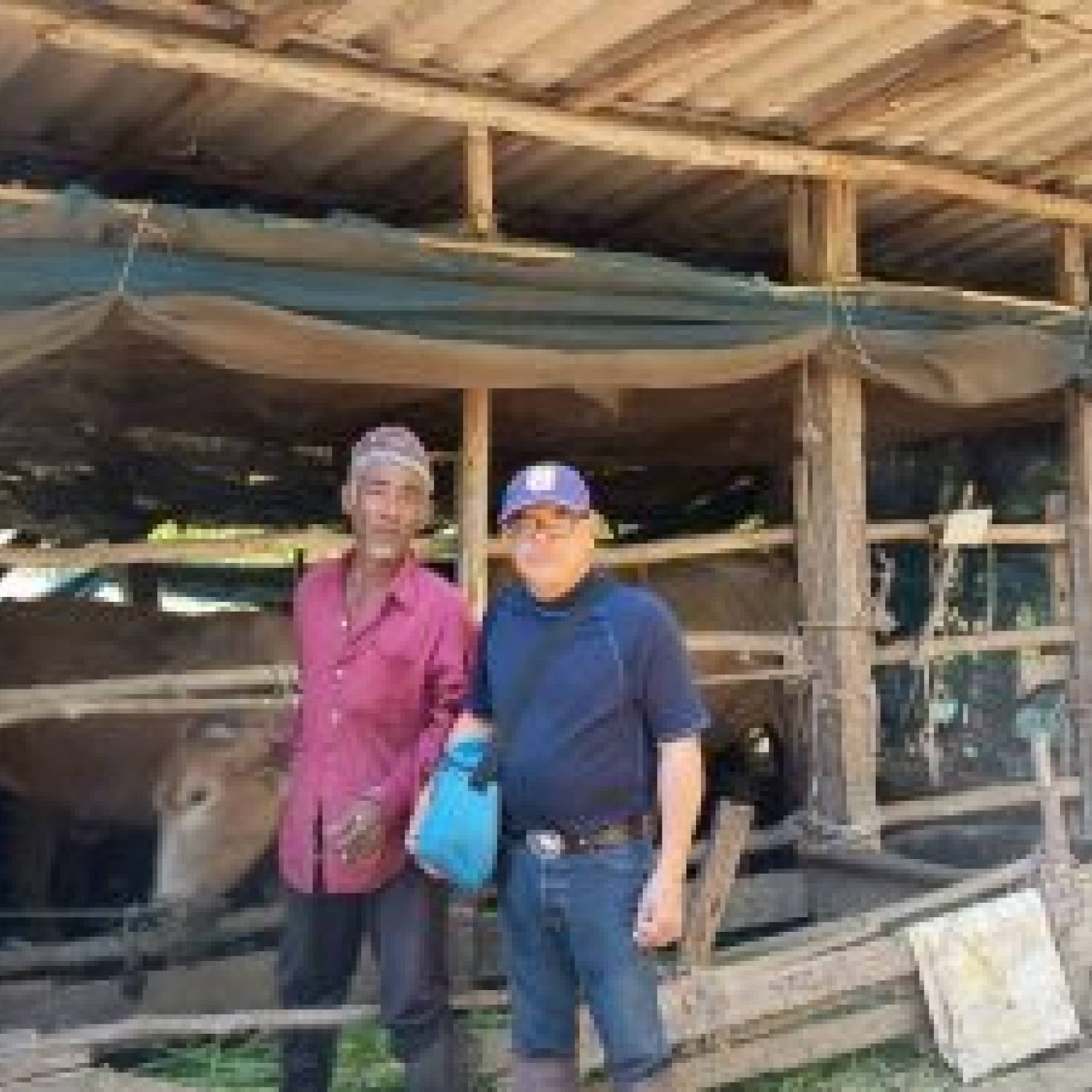   สำนักงานปศุสัตว์จังหวัดปทุมธานี ลงใพื้นที่ฉีดวัคซีนป้องกันโรคปากและเท้าเปื่อย ( FMD) อำเภอธัญบุรี 