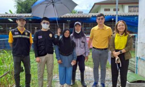 สำนักงานปศุสัตว์เขต 1 ตรวจประเมินเพื่อรับรองสถานภาพฟาร์มปลอดโรคบรูเซลลาในแพะ จังหวัดนนทบุรี