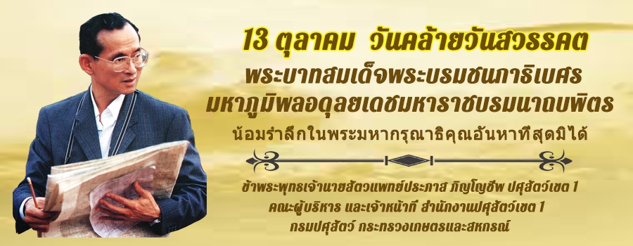 13 ตุลาคม วันคล้ายวันสวรรคต พระบาทสมเด็จพระบรมชนกาธิเบศร มหาภูมิพลอดุลยเดชมหาราช บรมนาถบพิตร