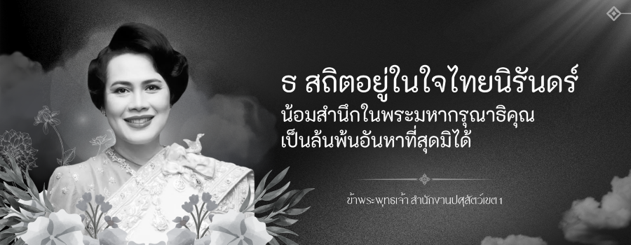 ธ สถิตอยู่ในใจไทยนิรันทร์ น้อมสำนึกในพระมหากรุณาธิคุณเป็นล้นพ้นอันหาที่สุดมิได้